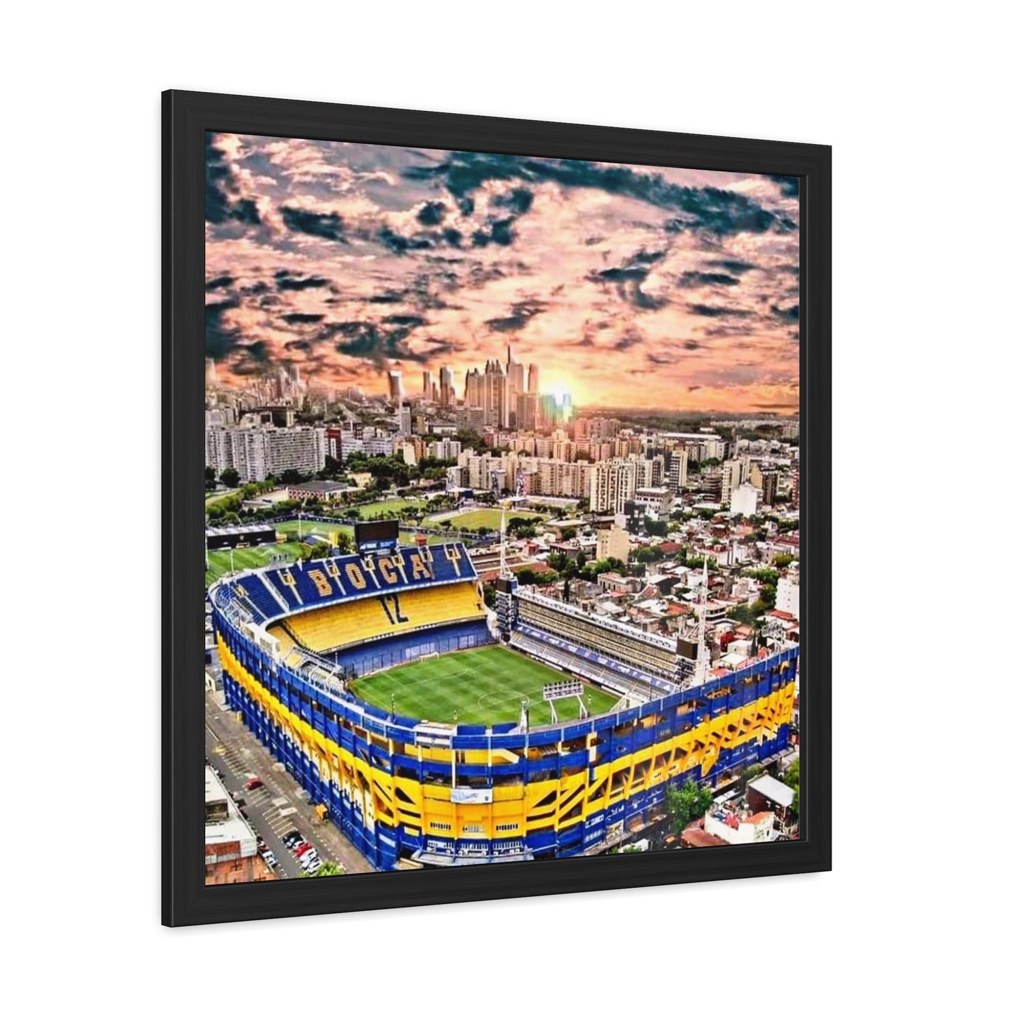 Framed Posters
